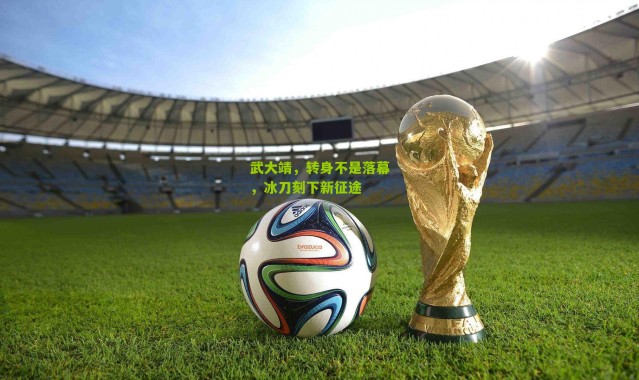 武大靖，转身不是落幕，冰刀刻下新征途