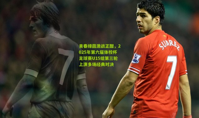 青春绿茵激战正酣，2025年第六届体校杯足球赛U15组第三轮上演多场经典对决