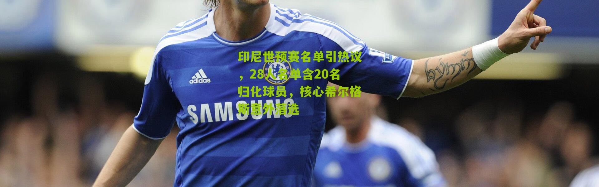 印尼世预赛名单引热议，28人名单含20名归化球员，核心希尔格斯意外落选