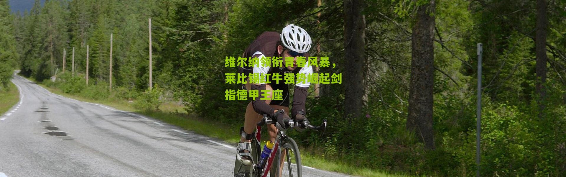 维尔纳领衔青春风暴，莱比锡红牛强势崛起剑指德甲王座