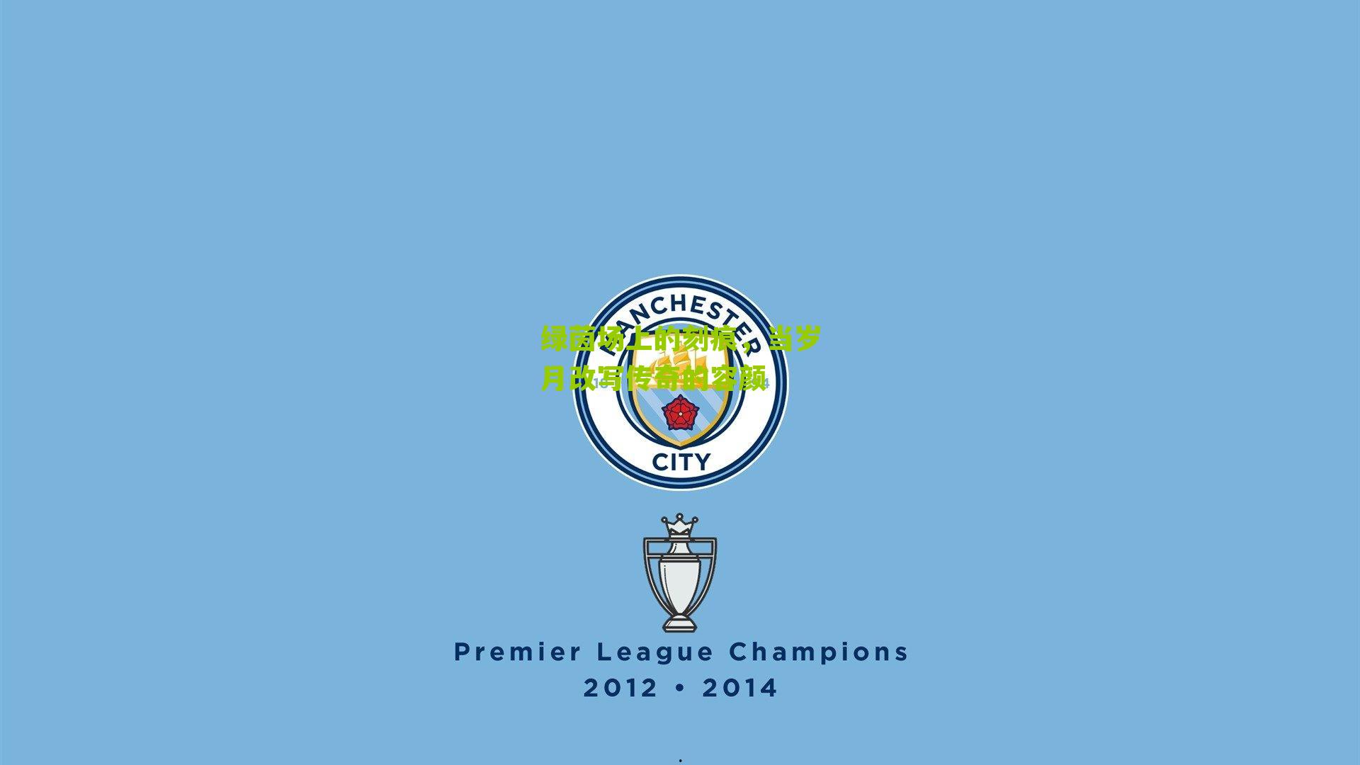 绿茵场上的刻痕,当岁月改写传奇的容颜