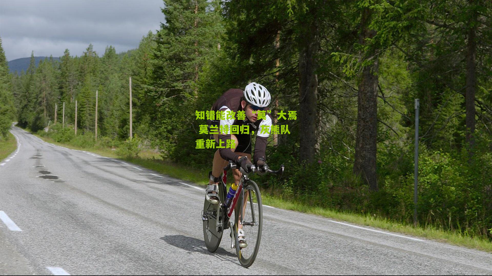 知错能改善“莫”大焉 莫兰特回归,灰熊队重新上路