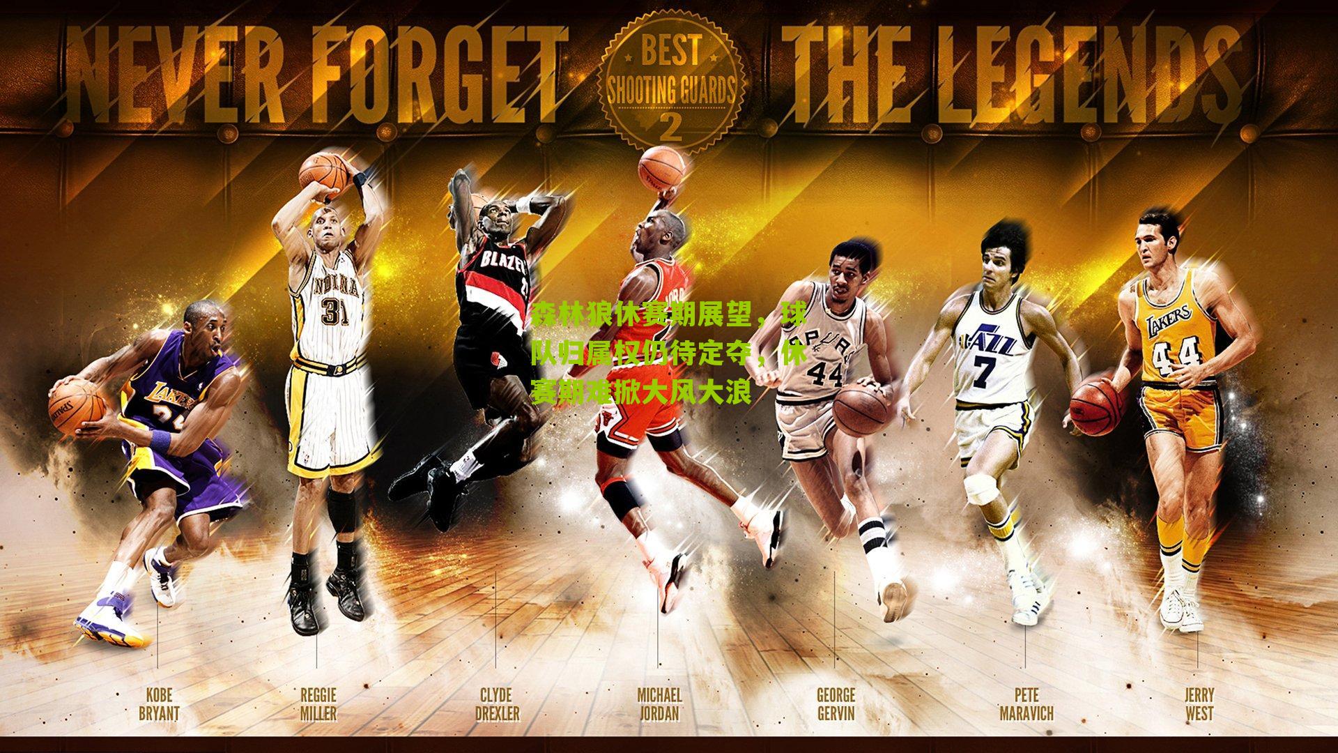 森林狼休赛期展望,球队归属权仍待定夺,休赛期难掀大风大浪