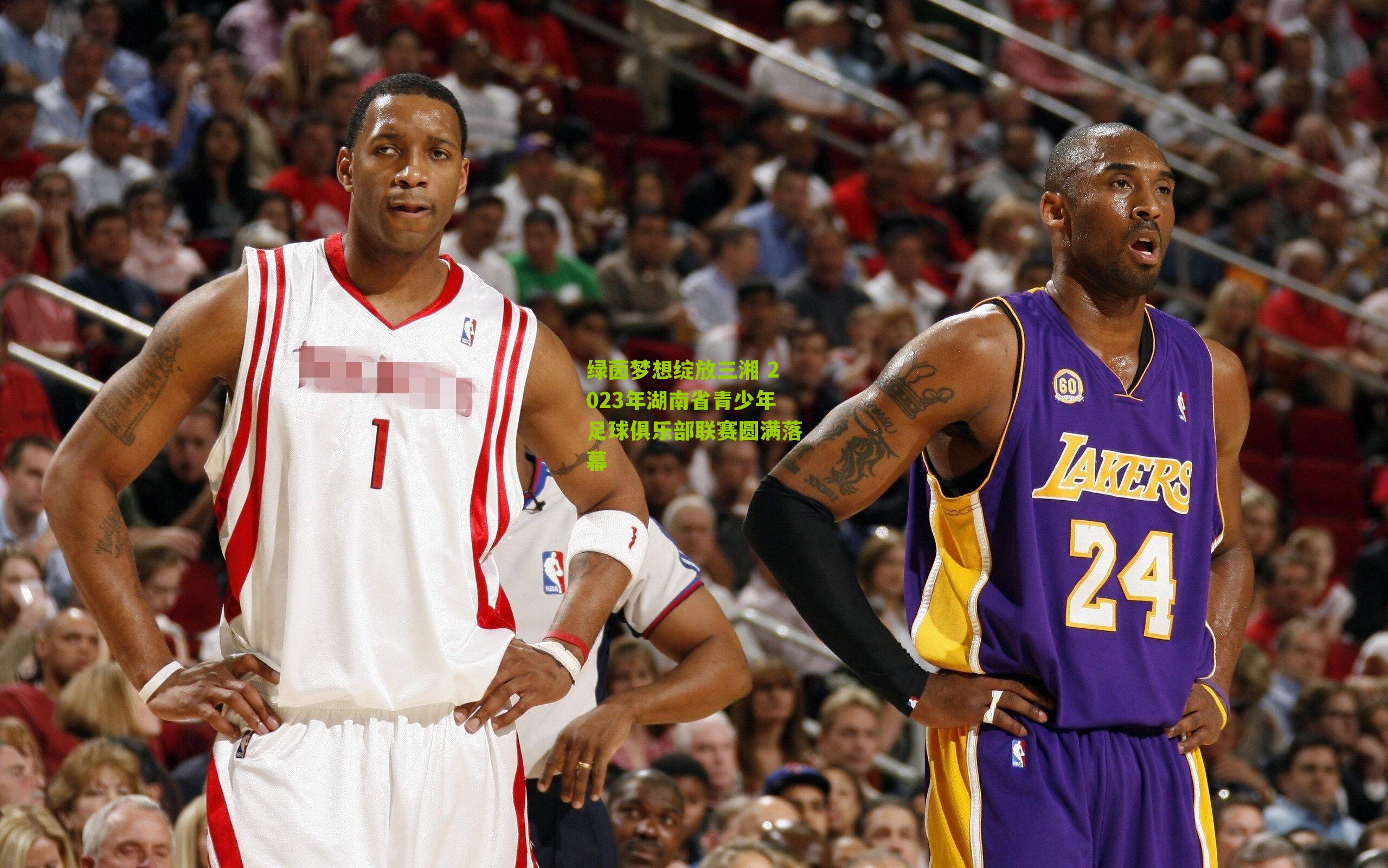 绿茵梦想绽放三湘 2023年湖南省青少年足球俱乐部联赛圆满落幕